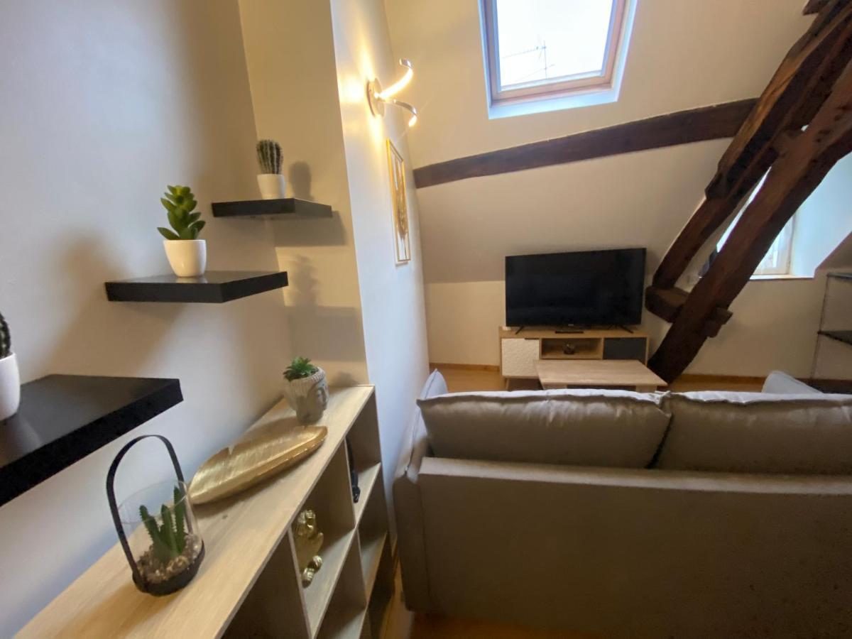 Appartamento Le Puits Du Bourg Nevers Esterno foto