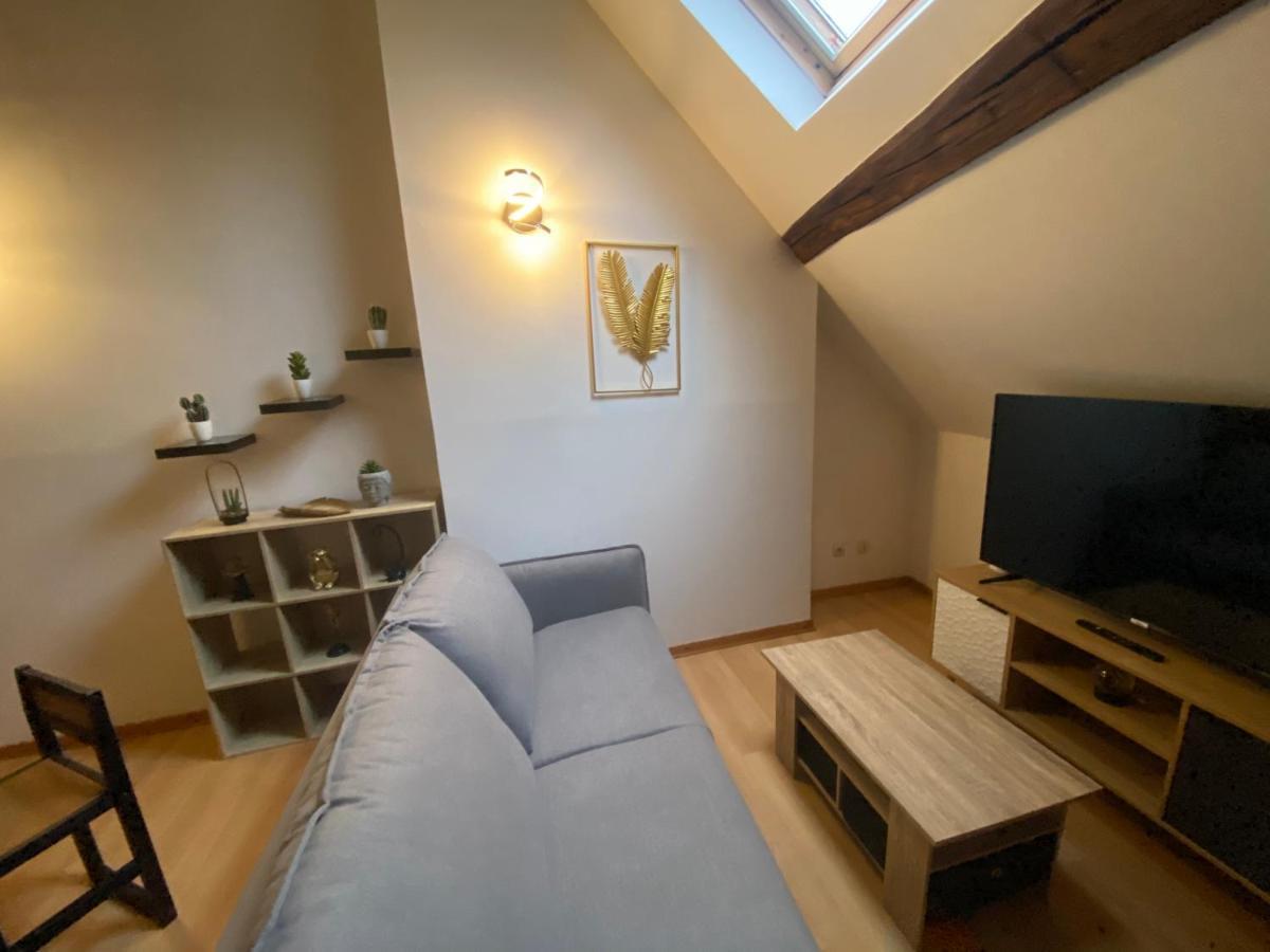 Appartamento Le Puits Du Bourg Nevers Esterno foto