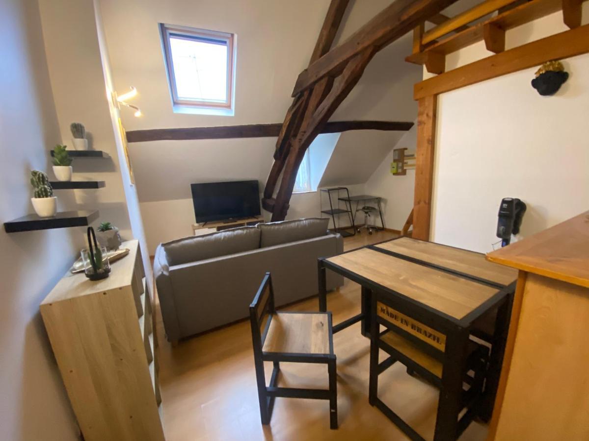 Appartamento Le Puits Du Bourg Nevers Esterno foto