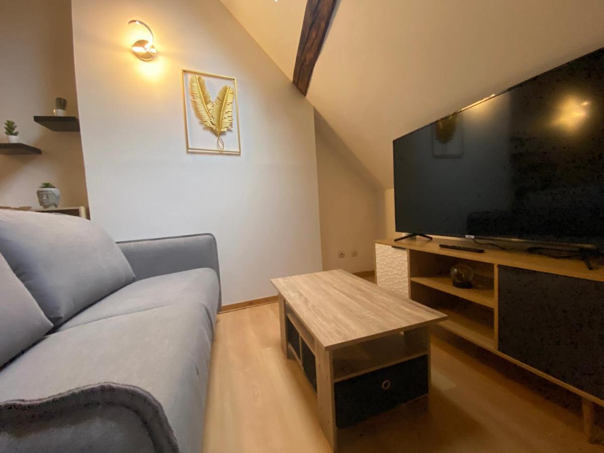 Appartamento Le Puits Du Bourg Nevers Esterno foto
